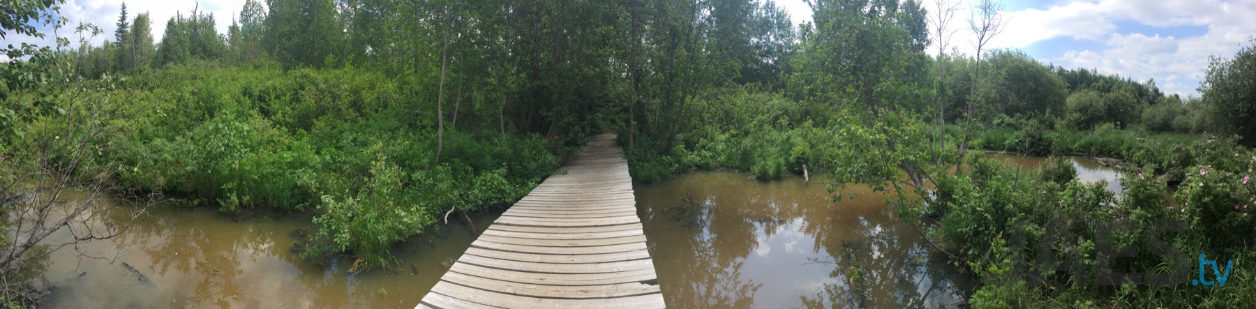 Elk Island National Park, Alberta